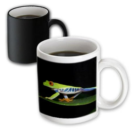 3dRose Oregon, Portland, Landseer Newfoundland dog puppy - US38 BJA0528 - Jaynes Gallery, Magic Transforming Mug, 11oz