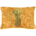 thumbnail image 1 of Pineapple Indoor & Outdoor Fabric Decorative Pillow, 1 of 1
