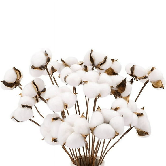 20Pcs Cotton Stems, Cotton Flowers, Artificial Cotton Floral Stems Faux Farmhouse for Vase Home Decor