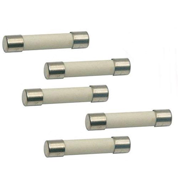 (Paquete de 5) Fusible de repuesto para microondas 20A 250V Fusible de línea de cerámica Fusible de microondas de soplado rápido
