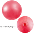 thumbnail image 2 of Exercise Balls for Women,Mini Yoga Pilates Ball, Small Stability Balls, Fitness Gym Equipment,, 2 of 4