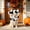 Black, variant on Christmas Halloween Plush Pet Hat Reindeer Cow Sheep Animal Shape Adjustable Warm Pet Headdress Cute Holiday Dress Up Accessory For Small Medium Dogs Cats Party Photo Prop Pet Hat