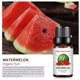 thumbnail image 4 of Xihbxyly dia del primer ministro Acetato aromatasa para aliviar la fatiga que ayuda a respirar, 10 ml, sabor a sandía, 4 of 7