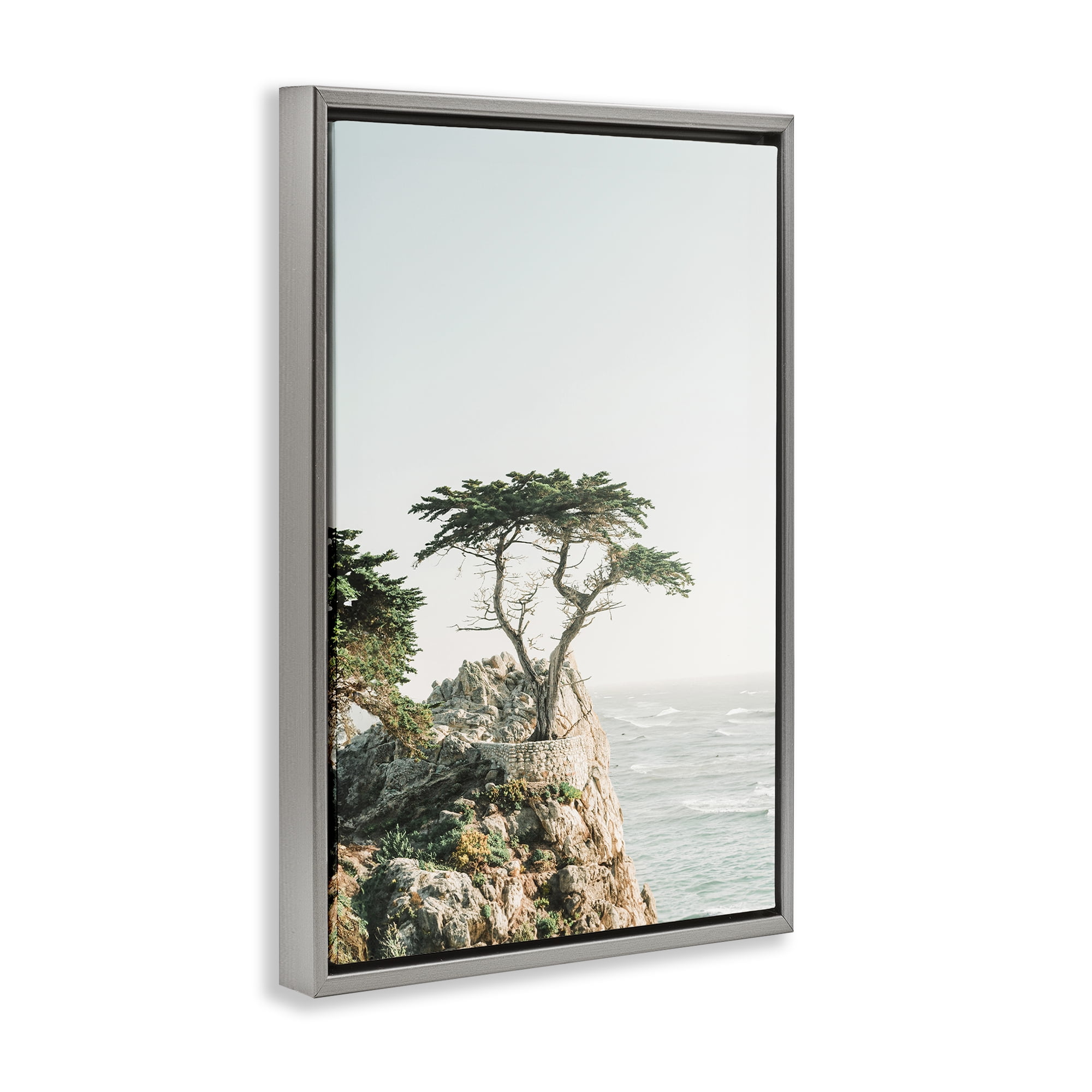 Stupell Industries Tree on Beachside Cliff Nautical & Beach Photography Gray Floater Framed Canvas Art Print Wall Art, 17 x 25