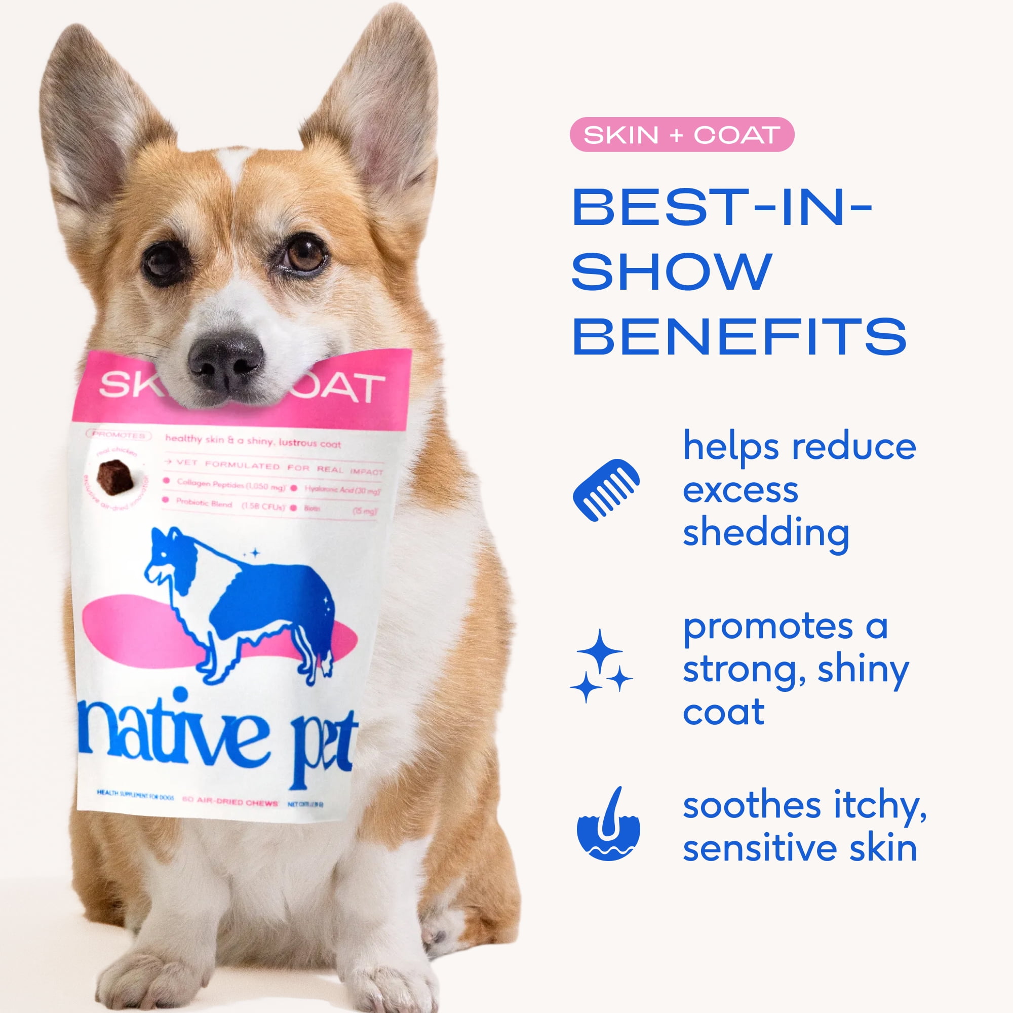 Native Pet Skin and Coat Chews for Dogs with Salmon Oil and Collagen for Healthy Skin and Shiny Coat, 60ct