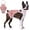 pink, variant on EIGTHTAIL Dog Diaper Suspenders Female Washable Dog Panties for Dogs in Heat Escape Proof Dog Underwear Diapers Reusable Pet Sanitary Pantie for Small Medium Girl Dogs