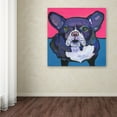 thumbnail image 4 of Trademark Fine Art "Radar" Canvas Art by Pat Saunders-White, 4 of 4