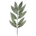 thumbnail image 1 of Vickerman 20" Artificial Green Muddy White Willow Spray, 1 of 5