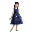 Girls Dresses 34 Years ALine Kids Prints Sleeveless Party Hoilday Wedding Event Ball Gown