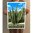 thumbnail image 4 of Organ Pipe Cactus National Monuments Vintage Travel Poster / Postcard WPA Style Retro, 4 of 4