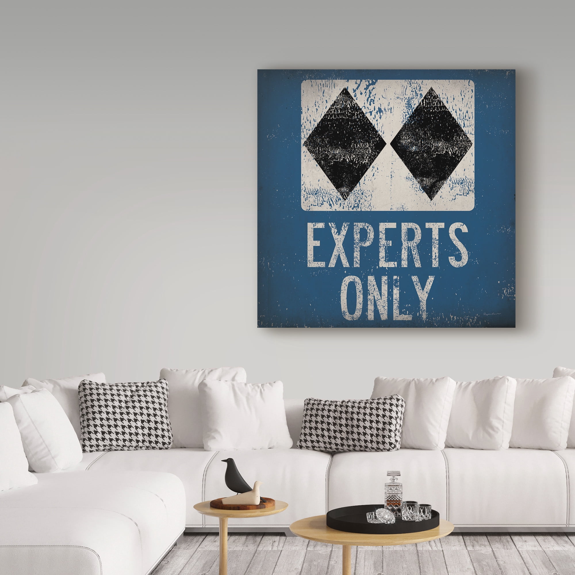 Trademark Fine Art 'Experts Only Blue' Canvas Art by Ryan Fowler
