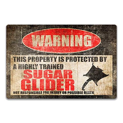 Sugar Glider Tin Sign Vintage Metal Pub Club Cafe Bar Home Wall Art Decoration Poster Retro 8×12inch