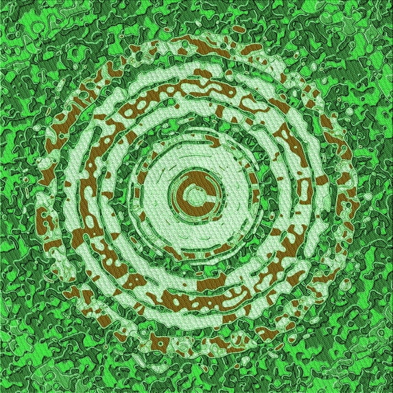 Ahgly Company Machine Washable Indoor Square Transitional Green Area Rugs, 5' Square