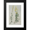 thumbnail image 2 of Leon Wyczółkowski 11x14 Black Modern Framed Museum Art Print Titled - Mullein (1919), 2 of 5