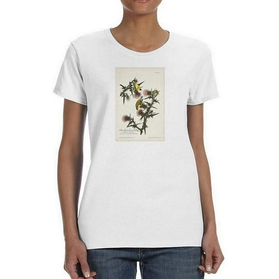 American Gold Finch T-Shirt Women -John James Audubon Designs, Female Small