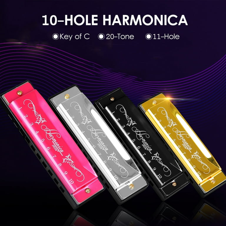 IRIN 10 Hole Harmonica of C 20 Tone Musical Gift with Storage Case