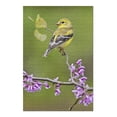 thumbnail image 2 of American Goldfinch (19x27 inches, Premium 500 Piece Jigsaw Puzzle for Adults and Family, Made in USA), 2 of 4