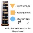thumbnail image 4 of Fantástica Guía De Dedos Para Violines | Instrumentos Musicales De Cuerda | Pegatinas Para Diapasón Y Diapasón Para Aprender Todas Las Notas | Guía De Dedos Para Violín Principiante Para Niños Y Adult, 4 of 5