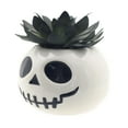 thumbnail image 4 of Way To Celebrate Halloween Dolomite Pumpkin Planter, White, 4 of 7