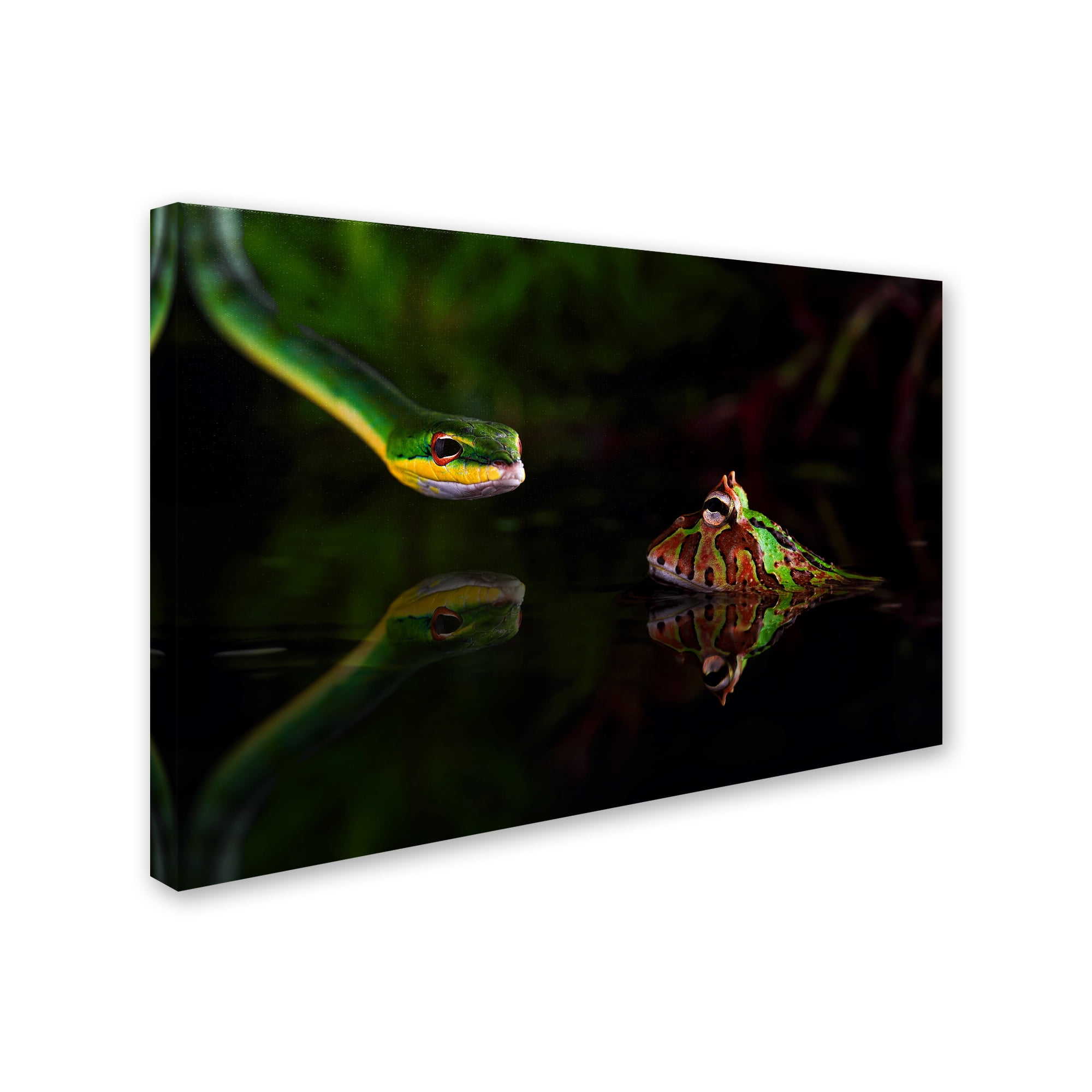 Trademark Fine Art 'Snake' Canvas Art by Unknown Artist