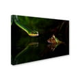 thumbnail image 2 of Trademark Fine Art 'Snake' Canvas Art by Unknown Artist, 2 of 3