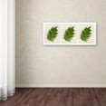 thumbnail image 4 of Trademark Art 'Ferns Finish' Canvas Art by Kathie McCurdy, 4 of 4