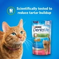 Purina DentaLife Cat Dental Treats, Savory Salmon Flavor, 1.8 oz. Pouch