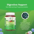 thumbnail image 5 of Natures Craft Kids Organic Probiotic Gummies, Immune Booster & Digestive Health Support, 2.5 Billion CFU, 30 Count, 5 of 8