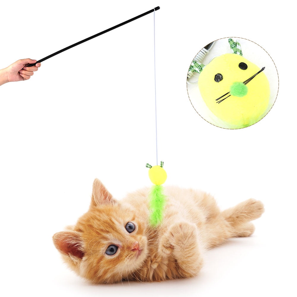 Cat Play Toy Kitten Play Toy Funny Play Toy Cat Chaser Toy Funny Cat