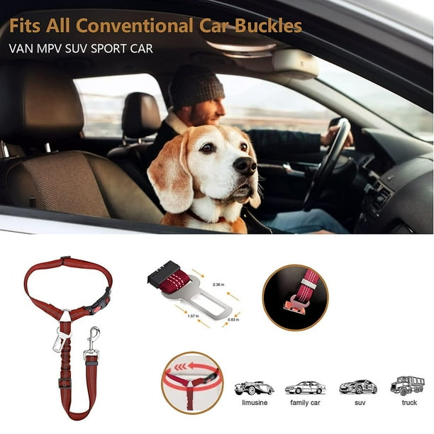 Dog headrest restraint deals
