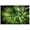 Bamboo Forest Bottom View, variant on Wall Art Canvas Print Poster Sailboat At Sea Scenery Canvas Painting Beautiful Sea View Oil Painting Contemporary Artwork for Home Decoration Office Kitchen Wall Decor 12x18inch