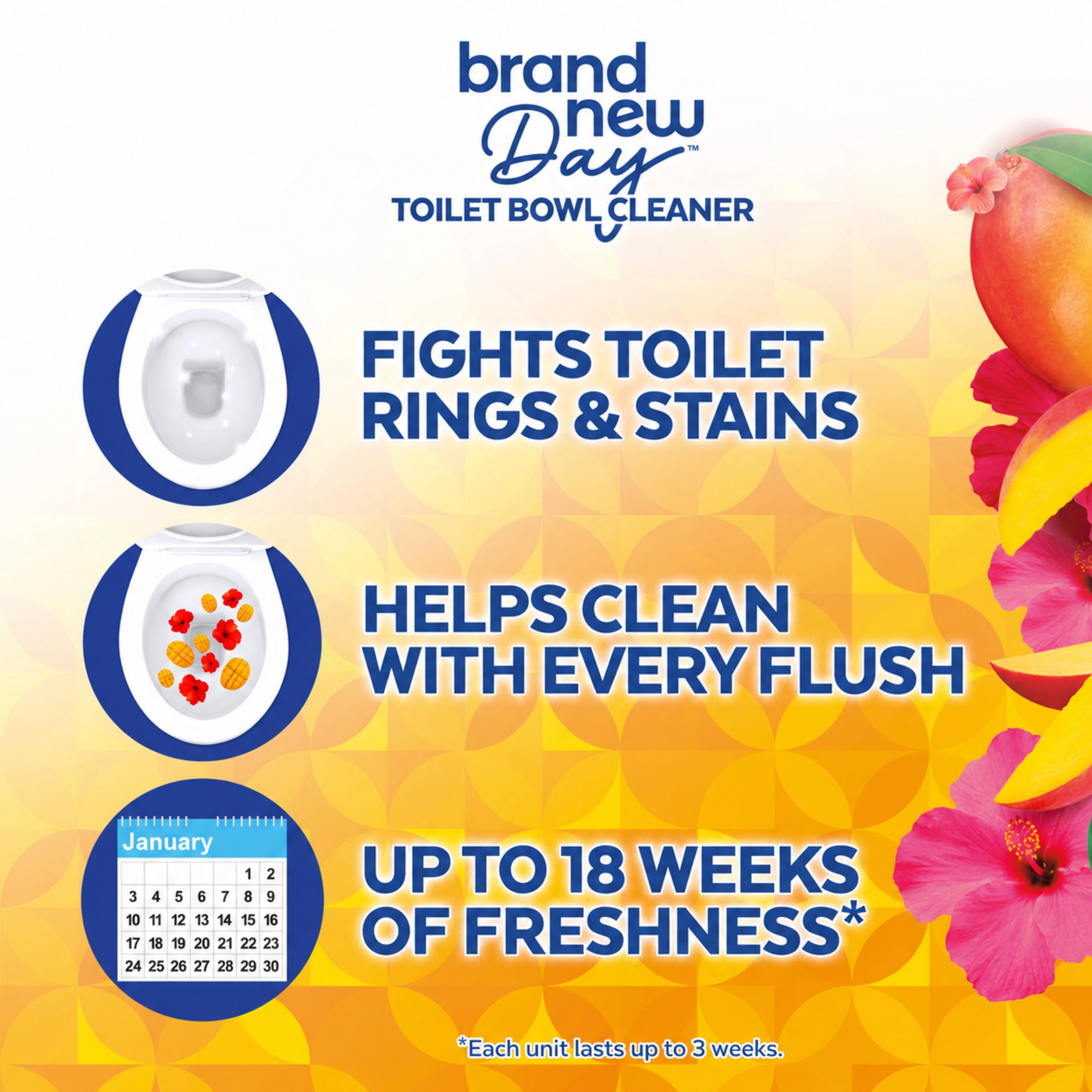 (2 pack) Lysol® Brand New Day Automatic Toilet Bowl Click Gel Cleaner, Mango & Hibiscus, 6 Count
