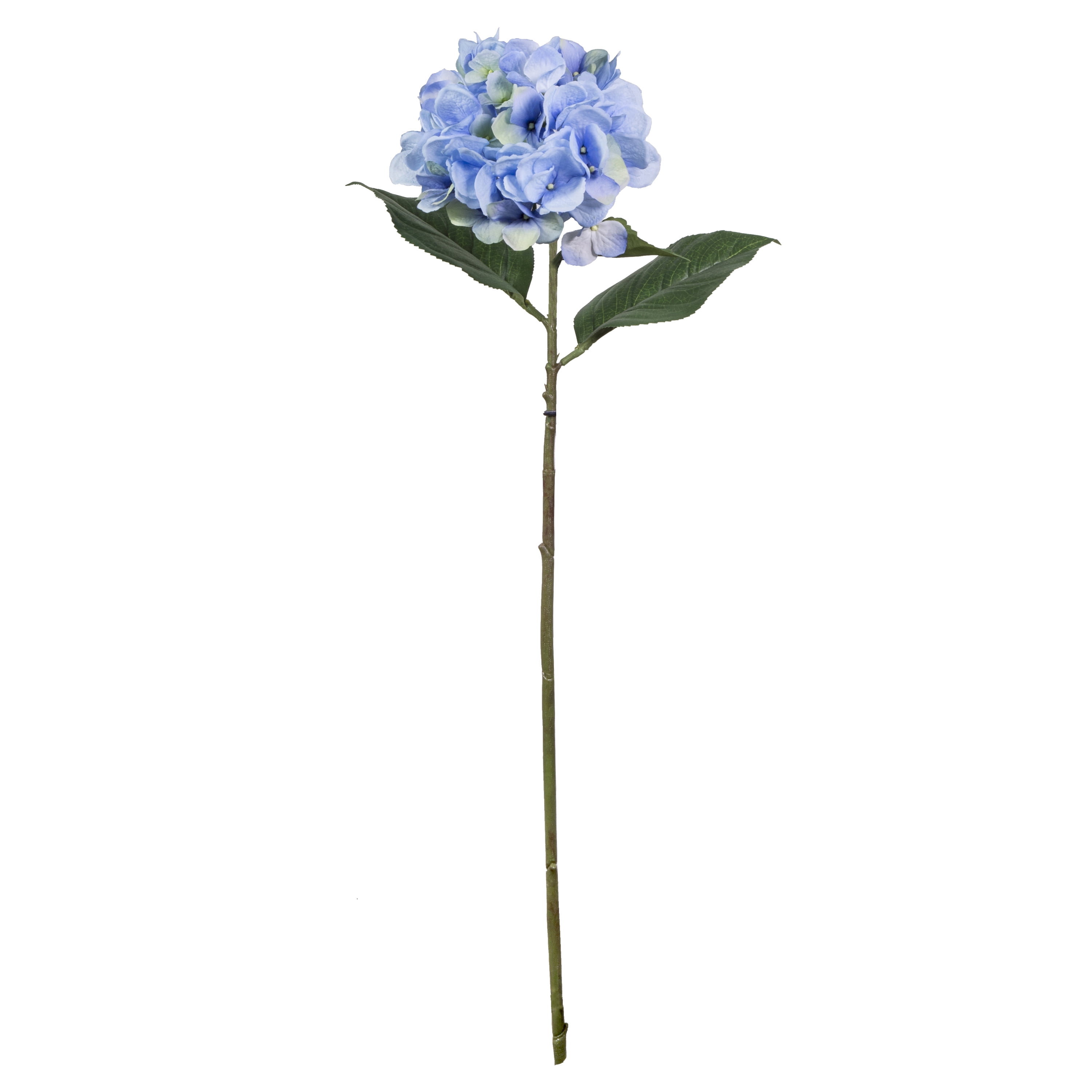 Mainstays Large Single Hydrangea Long Stem, Solid, Blue, 26" Walmart