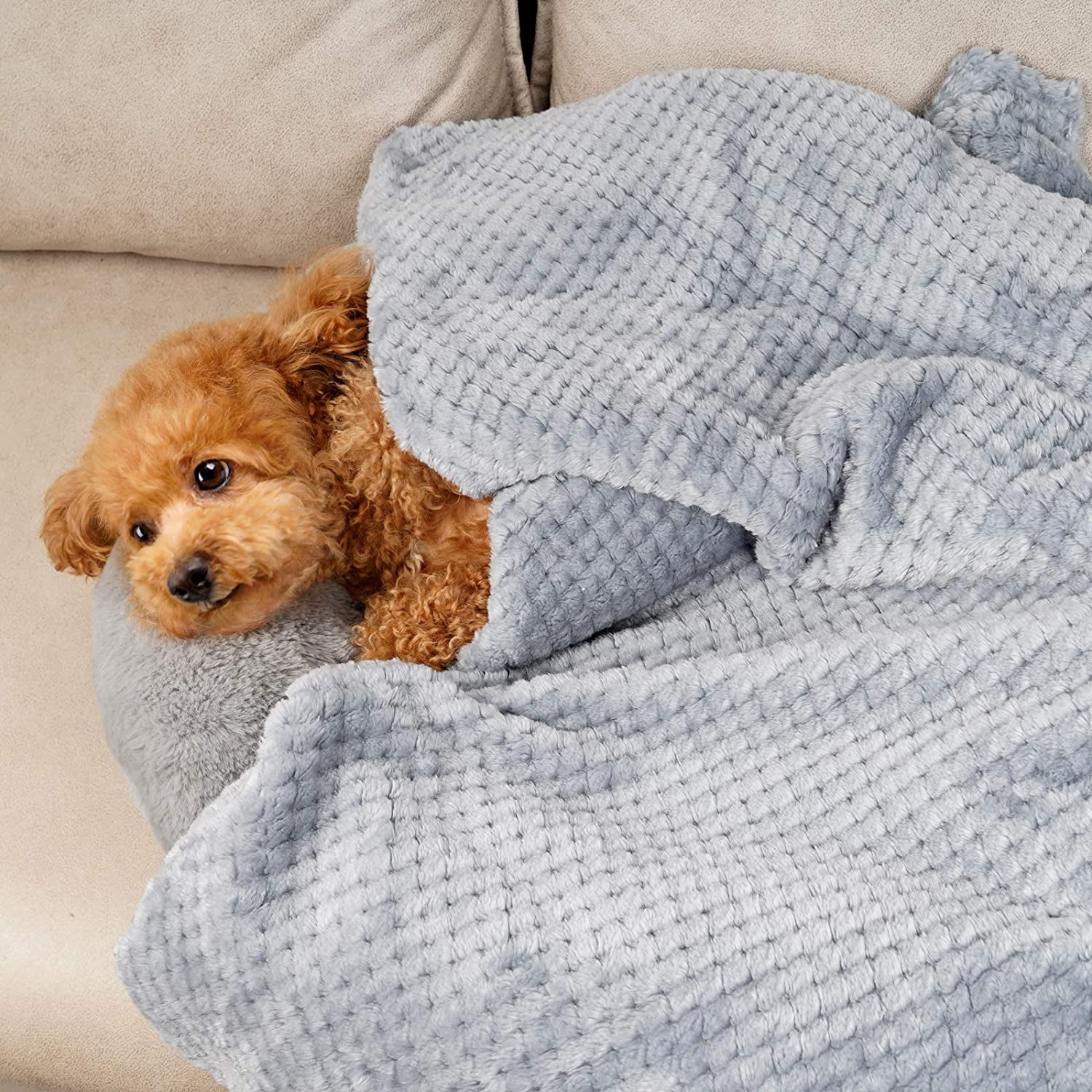 Fluffy dog blanket sale