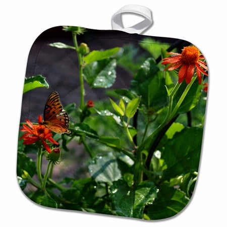 

3dRose Orange Flowers and Gulf Fritillary Butterfly - Pot Holder 8 by 8-inch
