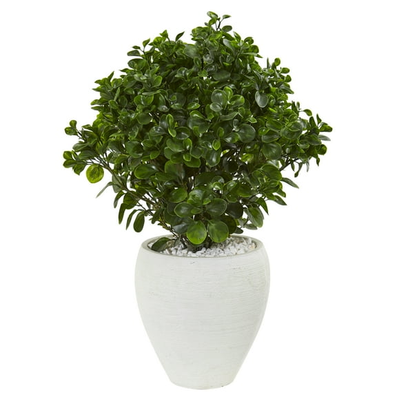 Nearly Natural 32” Peperomia Artificial Plant in White Planter UV Resistant (Indoor/Outdoor)