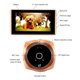 thumbnail image 3 of Bearachild Timbre de vídeo con pantalla LCD, visor de mirilla, seguridad Digital, timbres visuales de ángulo de 160 grados, timbre para puertas Cámaras de vigilancia Oro, 3 of 6