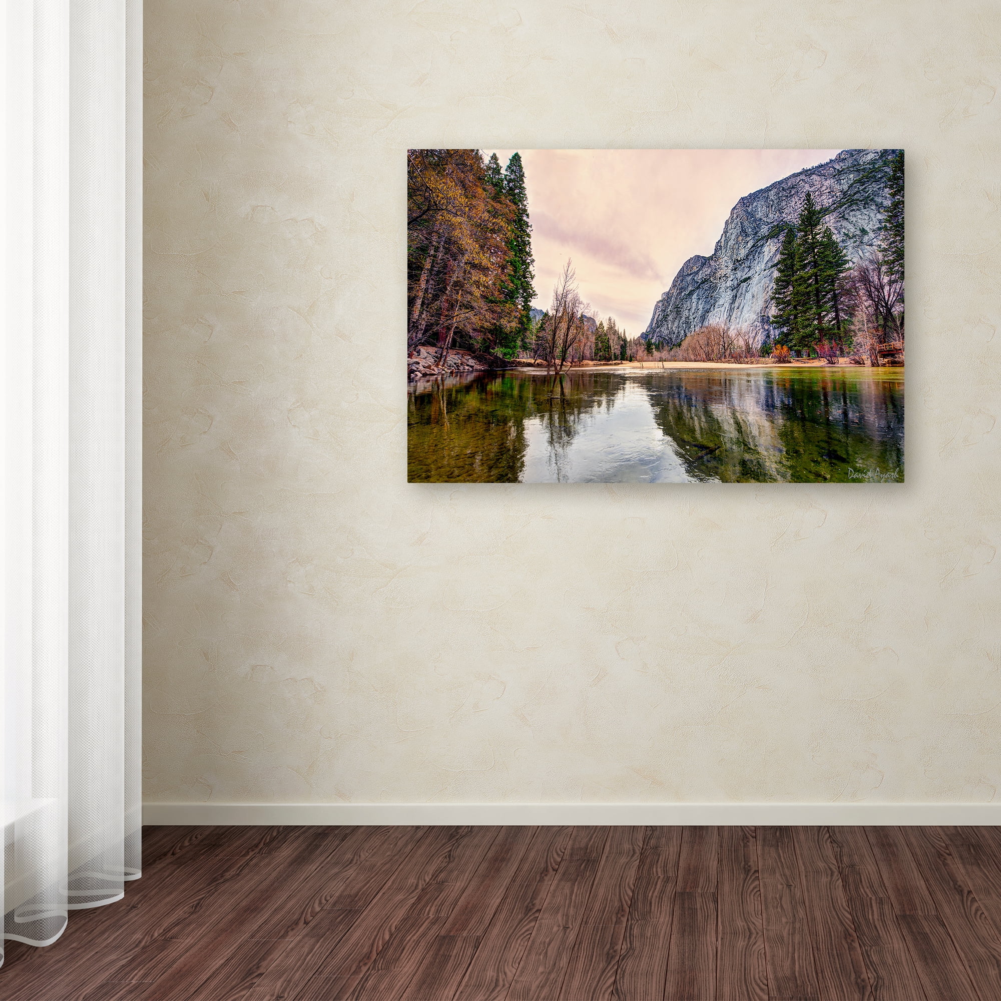 David Ayash 'Yosemite Valley' Canvas Art