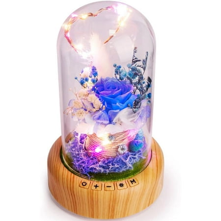 

Blue Rose Lamp - Real Preserved Rose in Glass Dome Forever Flower Night Light with Bluetooth Speaker Eternal Flowers Rose Gift for Her on Mother s Day Birthday Valentine Day