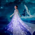 thumbnail image 1 of Disfraz De Reina De Hielo, Vestido De Malla LED Con Patrón De Nieve Para Niña, Trajes De Vestir Para Niños Para Navidad, Fiesta De Halloween, Actuación De Cumpleaños, Como Regalo (batería No Incluida), 1 of 4