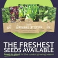thumbnail image 3 of Organic Heat Tolerant Lettuce Seeds Variety MVR1&nbsp;Pack - 9 Packs - 2025 Season - Galilee Spinach, Wild Arugula, Romaine Lettuce & More! for Indoor & Outdoor Planting (Non-GMO, Certified Organic), 3 of 3