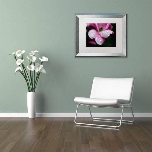 Trademark Fine Art 'Raindrops on Wild Rose Color' Canvas Art by PIPA Fine Art, White Matte, Silver Frame