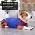 thumbnail image 2 of Dog Sterilization Surgery Recovery Clothes Dog Recovery Clothes Pet Surgery Clothes (Blue S Back Length 28-35CM Suitable for Weight 9-16 Pounds), 2 of 5