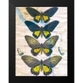 thumbnail image 2 of Butler, John 12x14 Black Modern Framed Museum Art Print Titled - Butterfly Map II, 2 of 5