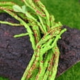 thumbnail image 4 of OULII Snake Terrarium Accessories Simulated Plant Model Green PU 1Pcs, 4 of 4