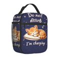 thumbnail image 2 of Cute Cat Lover Lunch Bag Portable Thermal Lunch Box for Men and Women, 2 of 6