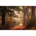 thumbnail image 3 of Head, Danny 18x13 Black Modern Framed Museum Art Print Titled - Autumns Walk II, 3 of 5
