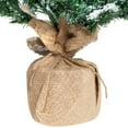 thumbnail image 4 of Northlight Frosted Pine Artificial Christmas Tree in Burlap Base - 3.5' - Unlit, 4 of 5