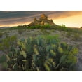 thumbnail image 2 of Fitzharris, Tim 24x19 Black Ornate Wood Framed with Double Matting Museum Art Print Titled - Opuntia and hoodoos, Big Bend National Park, Chihuahuan Desert, Texas, 2 of 4