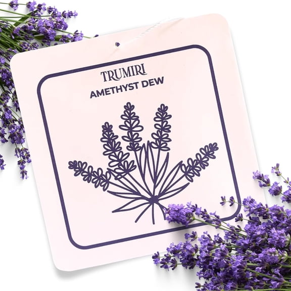 Amethyst Dew - Scented Sachets for Drawer and Closet Freshener with Long Lasting Scent - Home Fragrance Sachet Bag Dresser Refresher Packet - Olores para Closet De Ropa